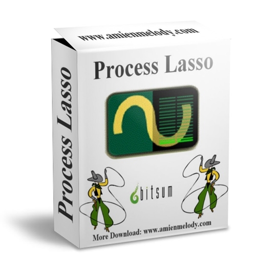 Process Lasso Pro 8.9.4 Crack Activation Code